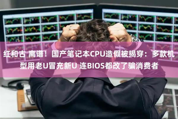 红和古 离谱！国产笔记本CPU造假被揭穿：多款机型用老U冒充新U 连BIOS都改了骗消费者