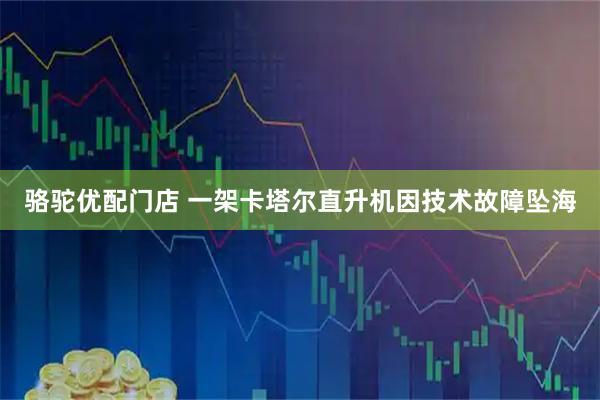 骆驼优配门店 一架卡塔尔直升机因技术故障坠海