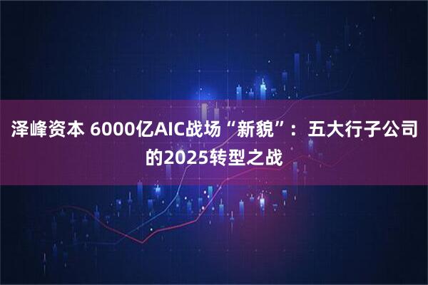 泽峰资本 6000亿AIC战场“新貌”：五大行子公司的2025转型之战