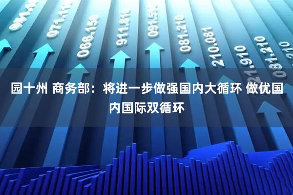 园十州 商务部：将进一步做强国内大循环 做优国内国际双循环