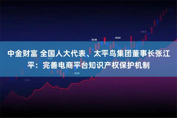中金财富 全国人大代表、太平鸟集团董事长张江平：完善电商平台知识产权保护机制