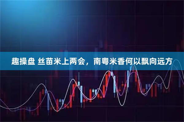 趣操盘 丝苗米上两会，南粤米香何以飘向远方