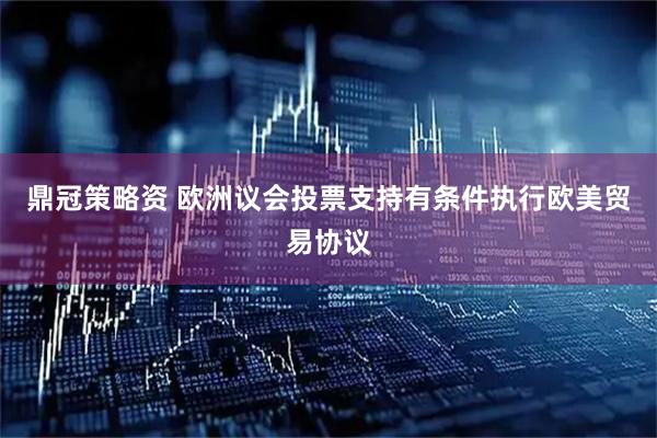 鼎冠策略资 欧洲议会投票支持有条件执行欧美贸易协议
