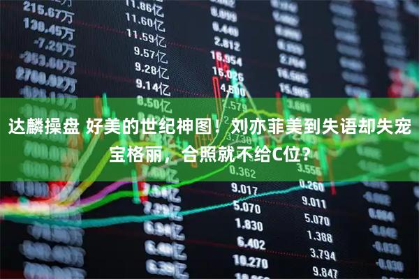 达麟操盘 好美的世纪神图!刘亦菲美到失语却失宠宝格丽,合照就不给C位?
