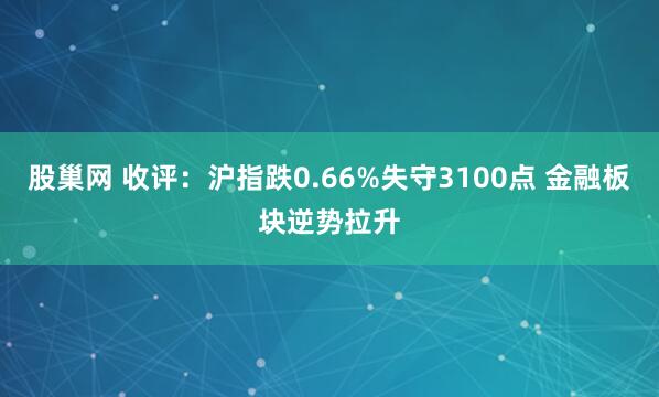 股巢网 收评：沪指跌0.66%失守3100点 金融板块逆势拉升