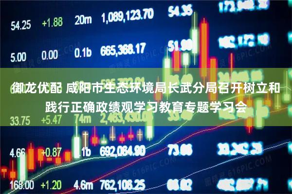御龙优配 咸阳市生态环境局长武分局召开树立和践行正确政绩观学习教育专题学习会