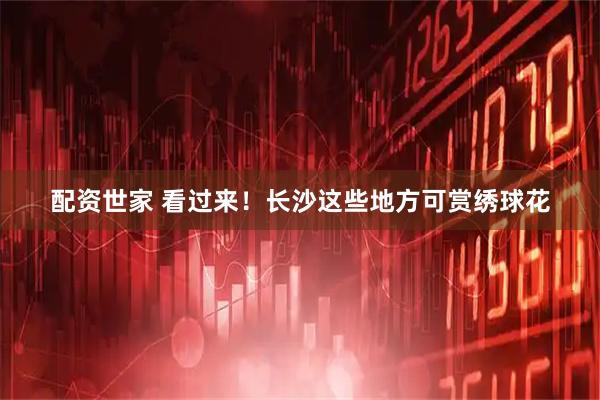 配资世家 看过来！长沙这些地方可赏绣球花