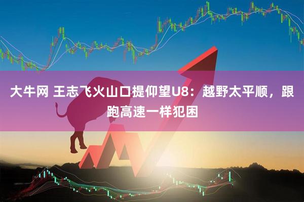 大牛网 王志飞火山口提仰望U8：越野太平顺，跟跑高速一样犯困