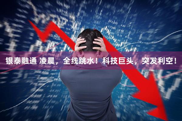 银泰融通 凌晨，全线跳水！科技巨头，突发利空！