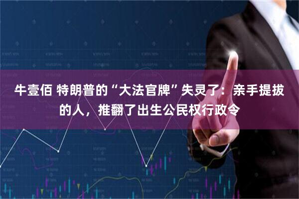 牛壹佰 特朗普的“大法官牌”失灵了：亲手提拔的人，推翻了出生公民权行政令