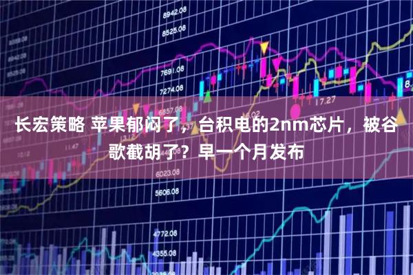 长宏策略 苹果郁闷了，台积电的2nm芯片，被谷歌截胡了？早一个月发布