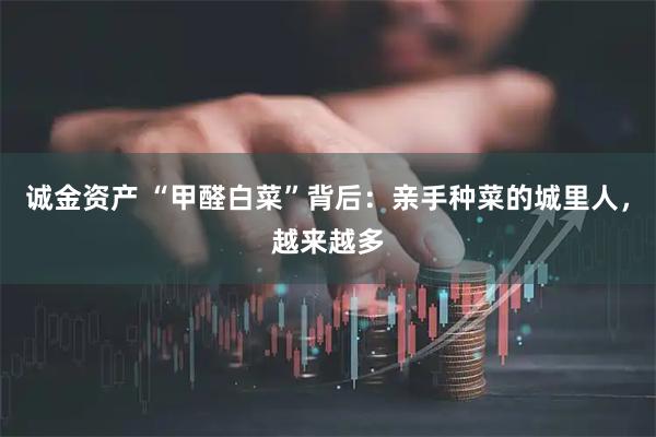 诚金资产 “甲醛白菜”背后：亲手种菜的城里人，越来越多